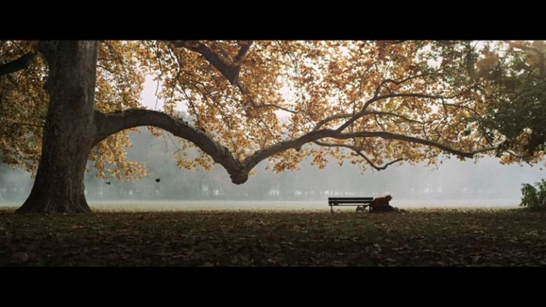 Herzstiftung - Herzgeschichte