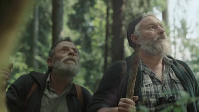 Schweiz Tourismus - Spurendeuter