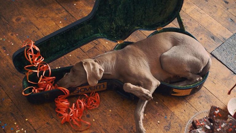 Pfister - schnarchen